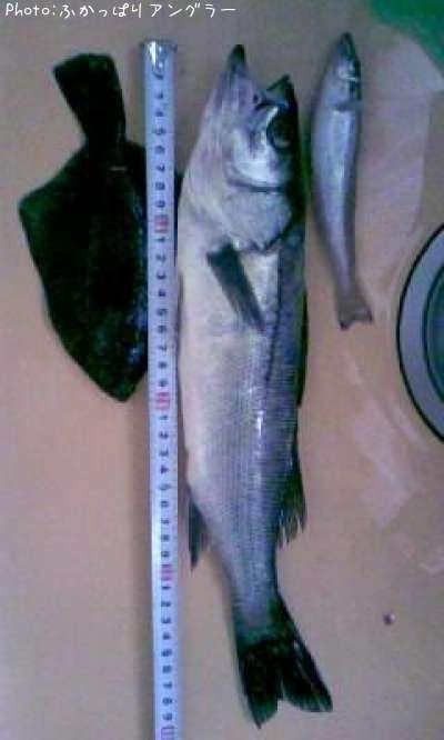 �����Х�