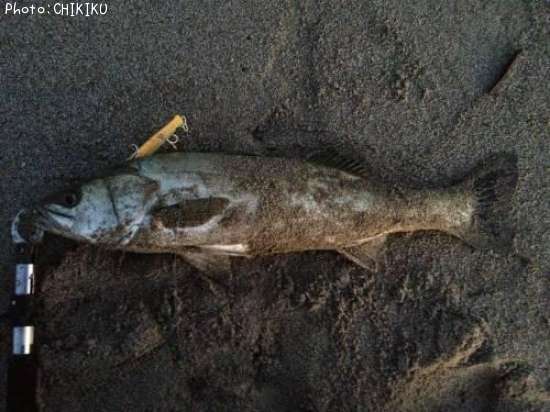 �����Х�