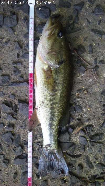 �֥�å��Х�