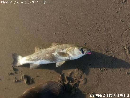 �����Х�