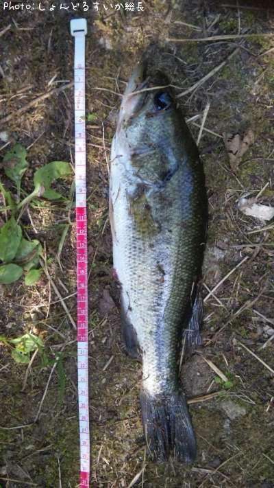 �֥�å��Х�