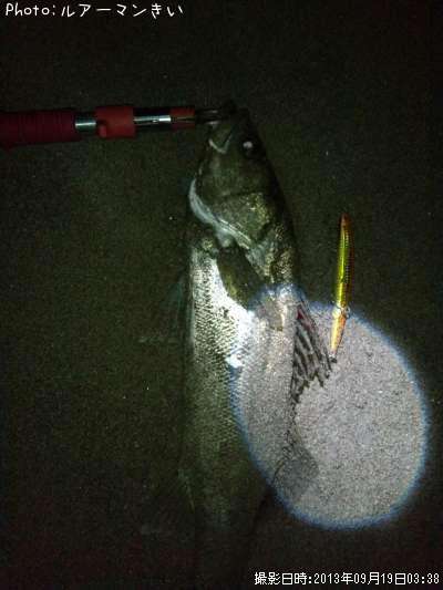 �����Х�