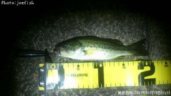 �֥�å��Х�