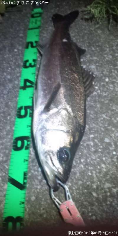 �����Х�