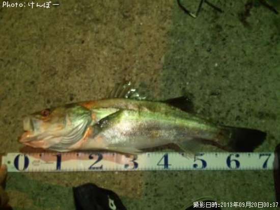 �����Х�