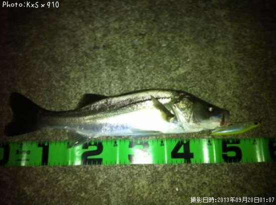 �����Х�