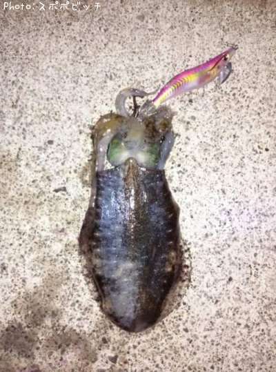 �����ꥤ��