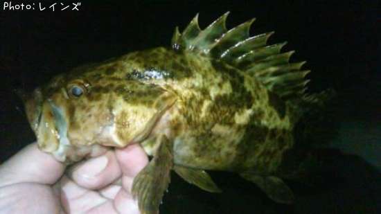 �������������Υ�