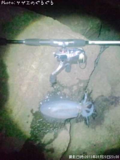 �����ꥤ��