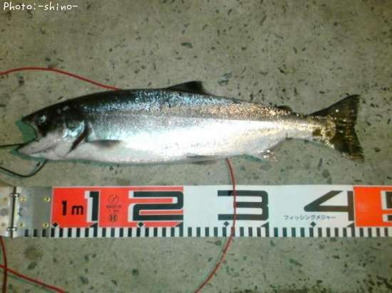 ������ޥ�