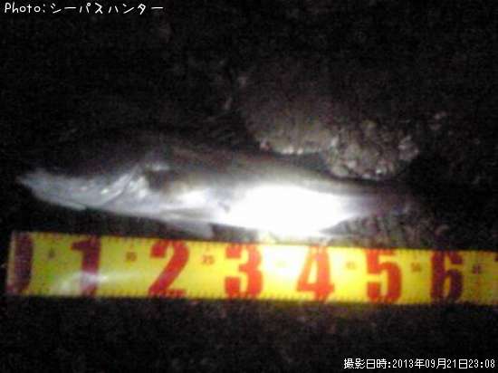 �����Х�