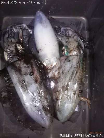 �����ꥤ��