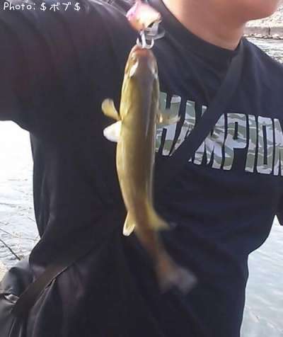 �֥�å��Х��ʥ��⡼��ޥ����Х���