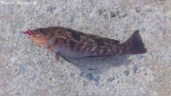 �����ʥ�