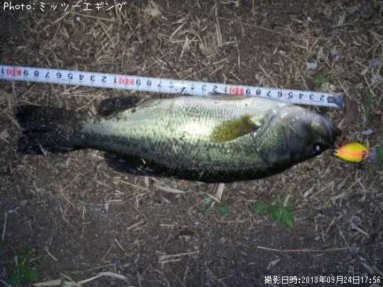 �֥�å��Х�