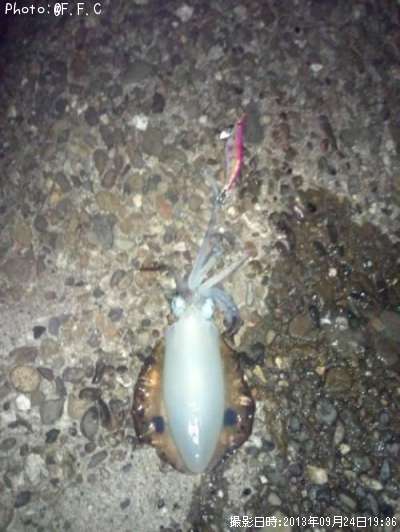 �����ꥤ��