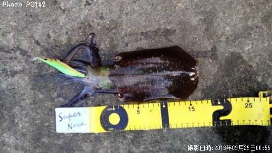 �����ꥤ��