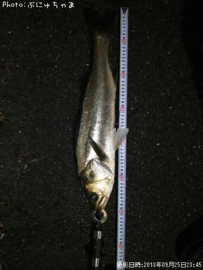 �����Х�