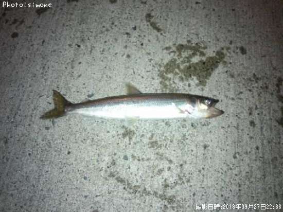 ���奦�ꥦ��