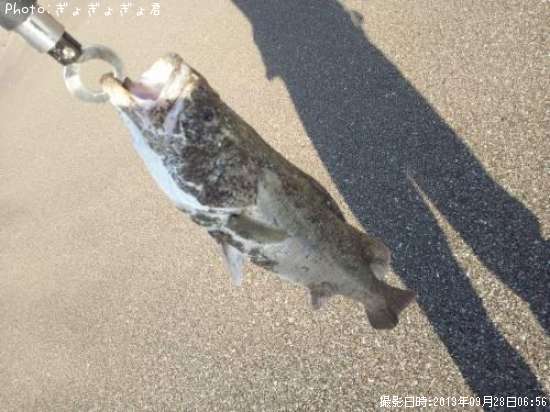 �����Х�