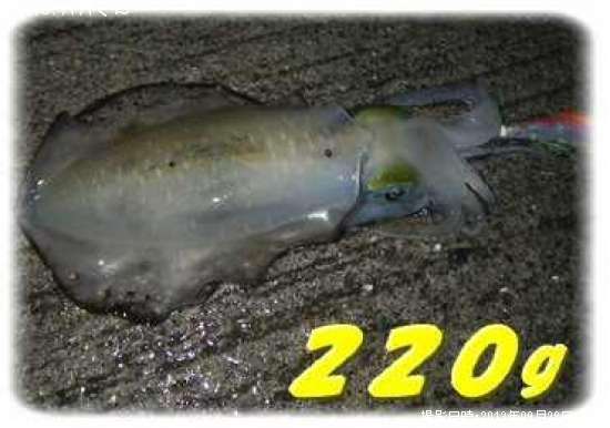 �����ꥤ��