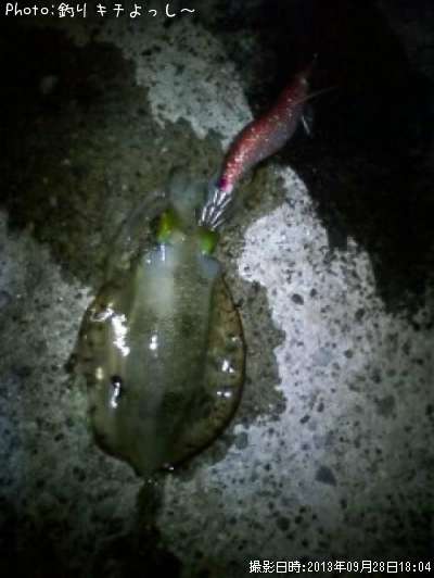 �����ꥤ��