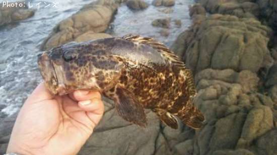 �����Υ���Х�