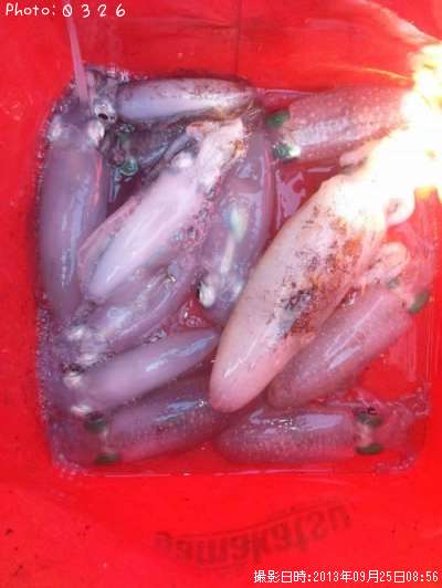 �����ꥤ��