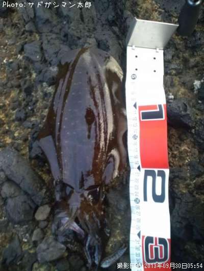 �����ꥤ��