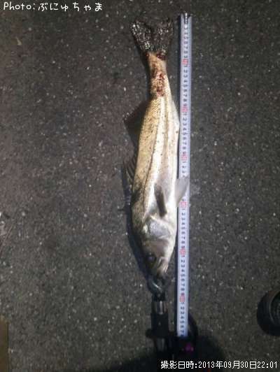 �����Х�