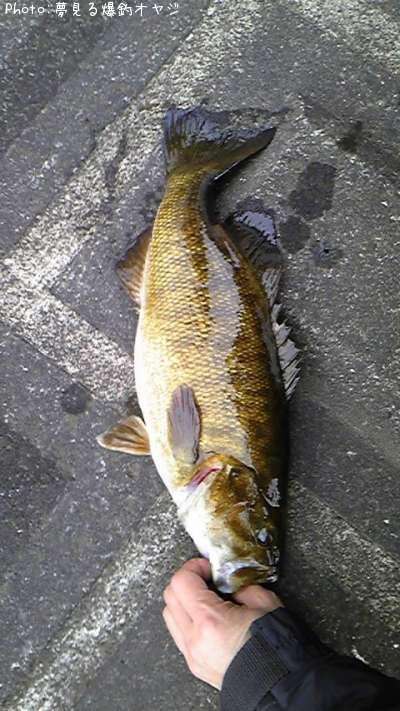 �֥�å��Х�