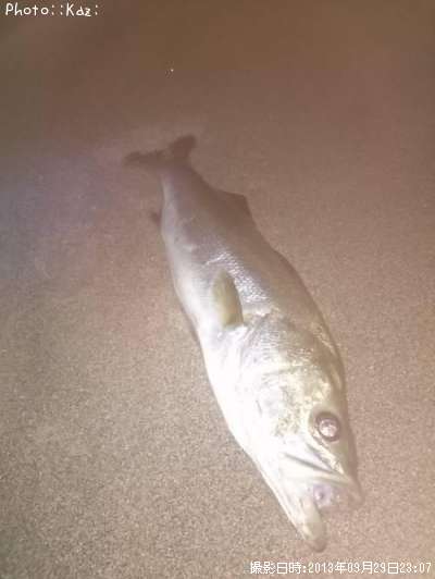 �����Х�