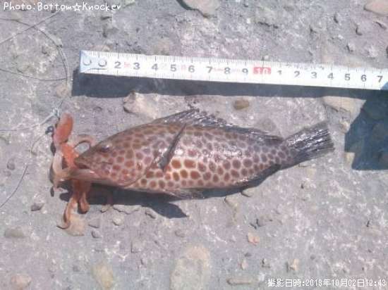 �������ϥ�