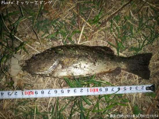 �֥�å��Х�