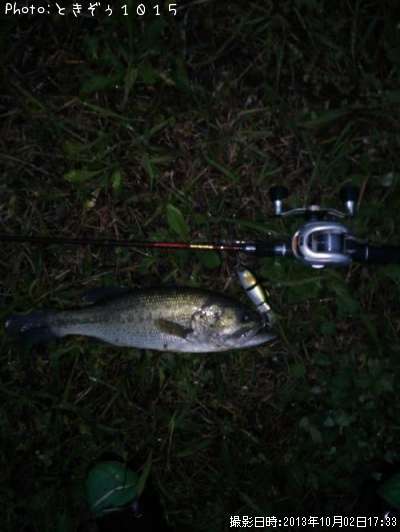 �֥�å��Х�