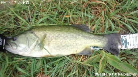 �֥�å��Х�