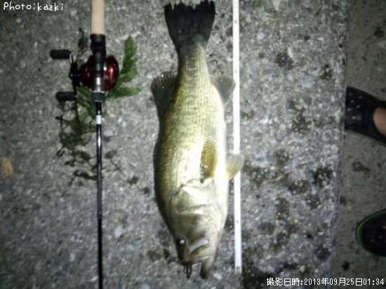 �֥�å��Х�