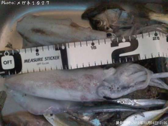 �����ꥤ��