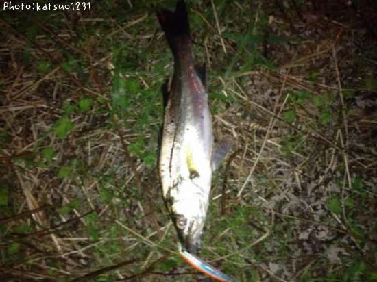 �����Х�