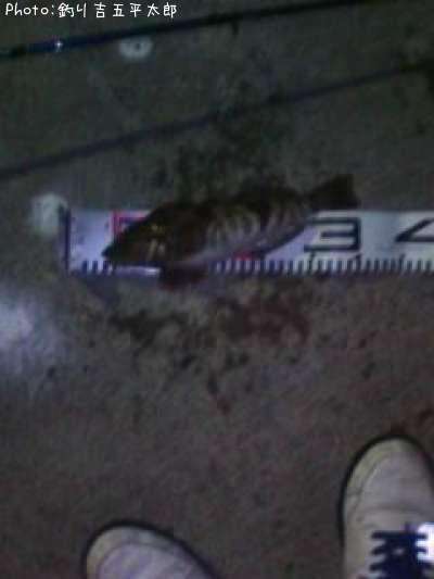 �����ʥ�