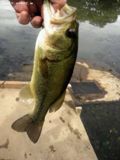 �֥�å��Х�