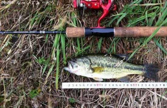 �֥�å��Х�