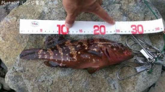 �����ϥ�