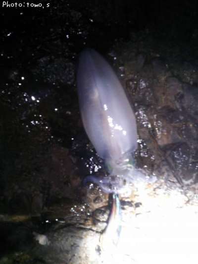 �����ꥤ��