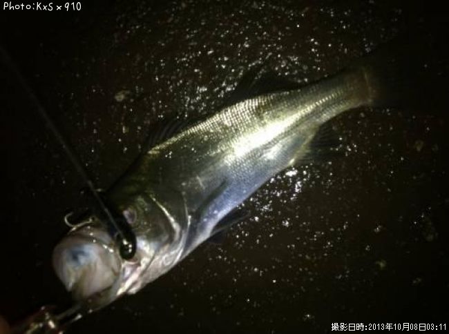 �����Х�