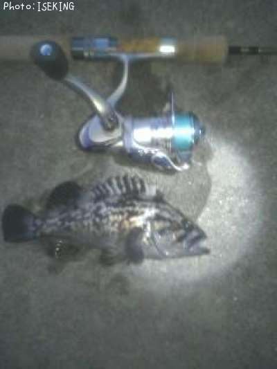 �����Υ���Х�