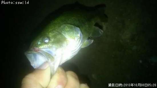 �֥�å��Х�