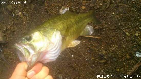 �֥�å��Х�