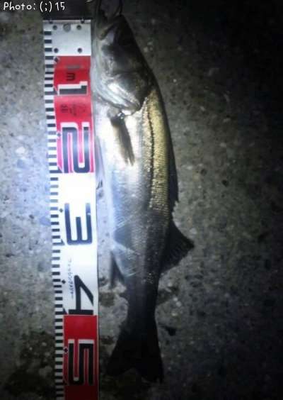 �����Ф�