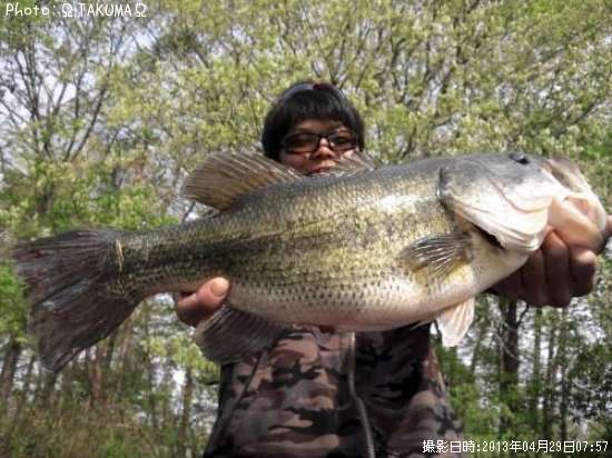 �֥�å��Х�